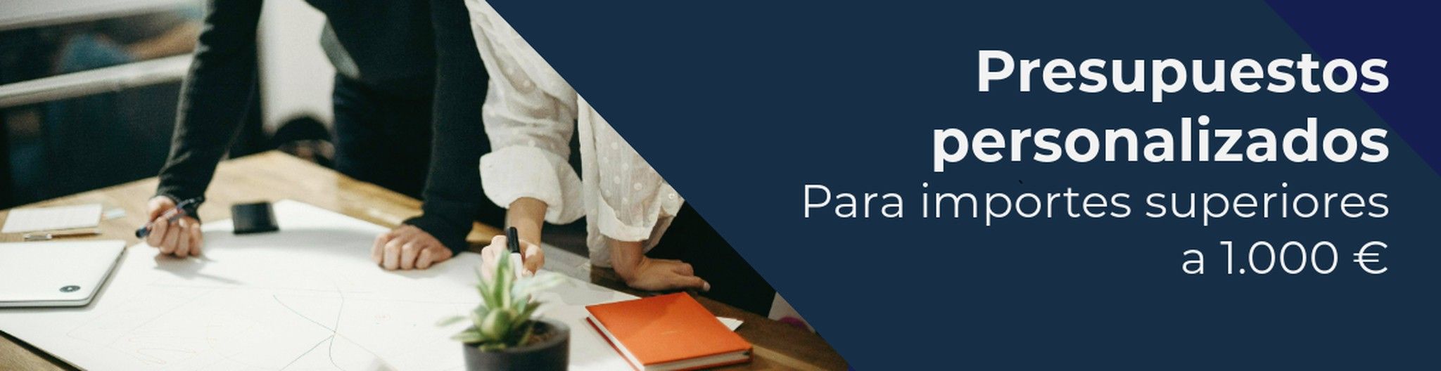 Presupuesto personalizado online