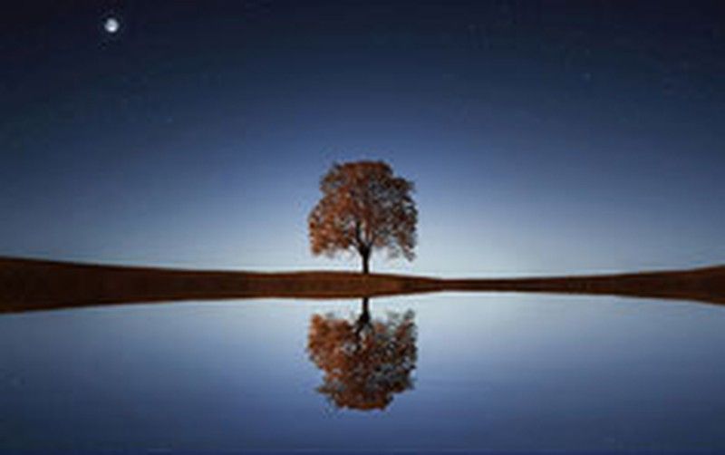 Gresite negro_ Efecto espejo