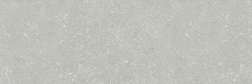 Caixa Taulell 30x90 9530 Silver 1,08m2 4piezas Porcelanite