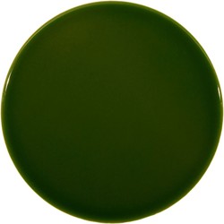 Boîte à carreaux ronde victoriagreen 16x16 brillant 0,50ms / 25 pièces Complementto