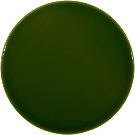 Scatola tonda per piastrelle victoriagreen 16x16 gloss 0,50ms / 25 pezzi Complemento