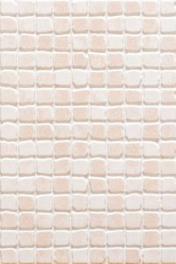 Termas Salmon Glossy Tile Box 20x30 25 pieces 1,50m2 / Ribesalbes Box