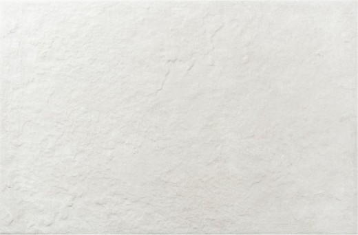 Boîte porcelaine antidérapante Camous blanc 40X60 5 dalles/Boîte 1,20 m2/Boîte AZULIBER
