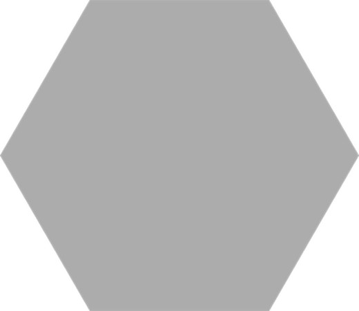 Boîte hexagonale en porcelaine 22x25 Basic Silver matt 1,04m2 / Boîte Codicer