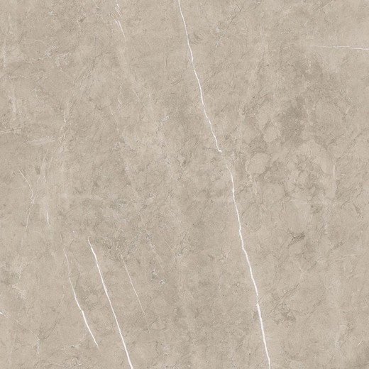 Porcelanânico 1836 Vison 100x100 cm Porcelanite Dois