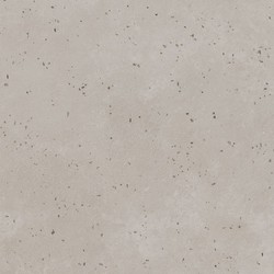 Porcelananico 1841 Gris 100x100 cm Porcelanite Dos