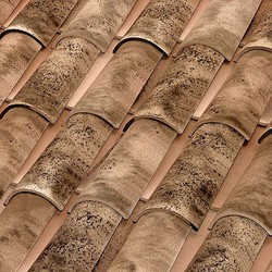 Teja curva C50.21 Edetania Nature Tejas Borja