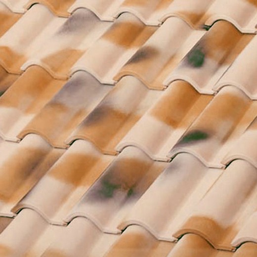 Mixed roof tile TB12 Vilavella Tejas Borja