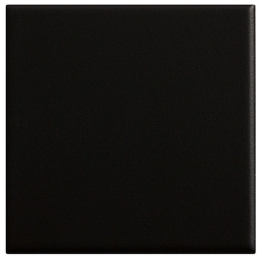Azulejo negro