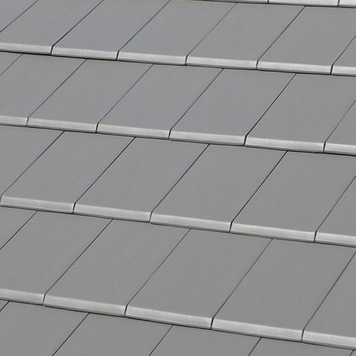 Teja gris