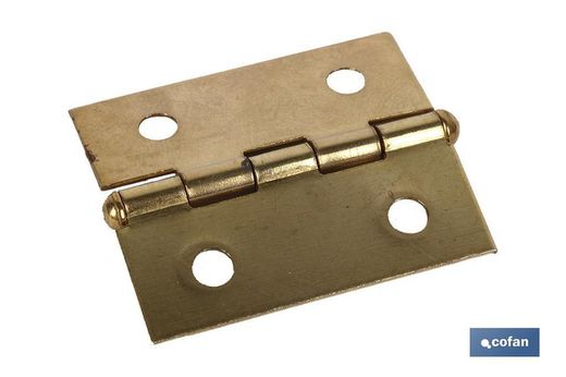 2 Pcs Brass Iron Hinge 50 X 40