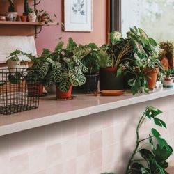 Zellige Temera självhäftande kakel 22,86 cm x 22,86 cm Smarttiles