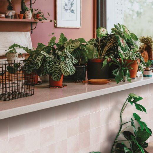 Zellige Temera självhäftande kakel 22,86 cm x 22,86 cm Smarttiles