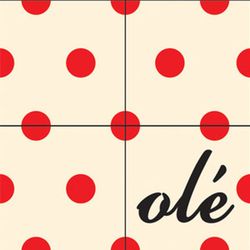 Olé handgemachte Fliese 20x20 25Stk. 1.00m2