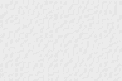 Azulejo imitación gresite Blanco 20x30 cm brillo pasta roja Ribesalbes