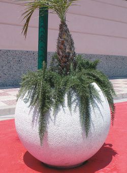 Słupek Cosmo Verniprens