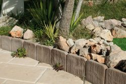 Vorada bosc Verniprens