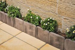 Vorada bosc Verniprens