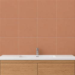 Smooth Cotto Valencia Matte Tile Box 20x20 cm Ribesalbes