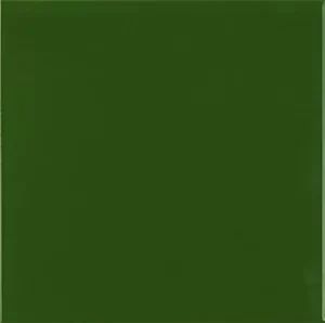Caja Azulejo Liso Verde Botella Brillo 20x20 cm Ribesalbes