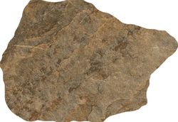 Montesa Brunglaserad Porslinslåda 15x22 Cerlat