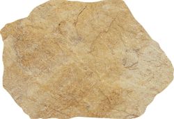 Caja de Porcelanico Esmaltado Montesa Ocre 15x22 Cerlat