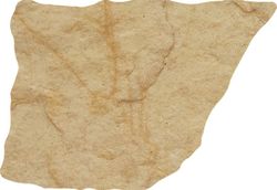 Montesa Scatola in Porcellana Smaltata Ocra 15x22 Cerlat