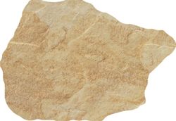 Montesa Scatola in Porcellana Smaltata Ocra 15x22 Cerlat