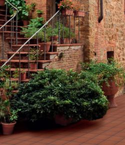 Kiste aus extrudiertem Steingut 33x33 Cotto rot 0.67M2 Gres de Aragon