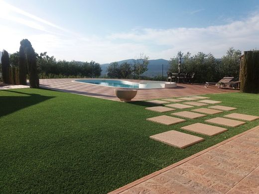 Havana Amber Pavement Karton 3,5 x 50 x 50 4 Stück 1m2/Karton Verniprens