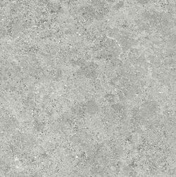 Rättad porslinslåda Roadstone Silver Tau