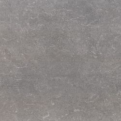 Caja porcelanico rectificado Start argent Prissmacer