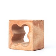 Celosia Barro Flor 11x11x8 cm