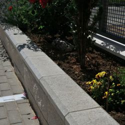 Väggbeklädnad Coria Verniprens