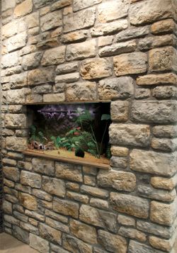 Cantó Sortint Piemont Aspe