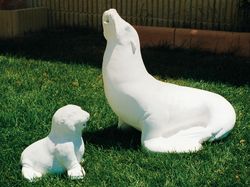 Font Foca BB Verniprens