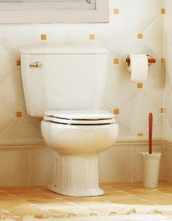 Grecia S / H Sanitana toilet