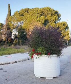 Jardinera Mauricio antivandálico circular Verniprens