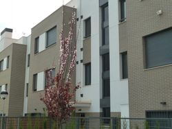 Pallet Maó caravista clínquer Escorial 236x114x50mm 608 u.