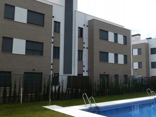 Pallet Maó caravista clínquer Escorial 236x114x50mm 608 u.