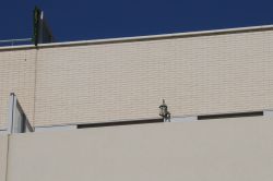 Solid brick Albacete 5.5x12x24 cm
