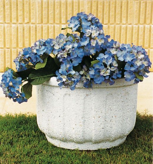 Trädgårdskruka Cullera Verniprens