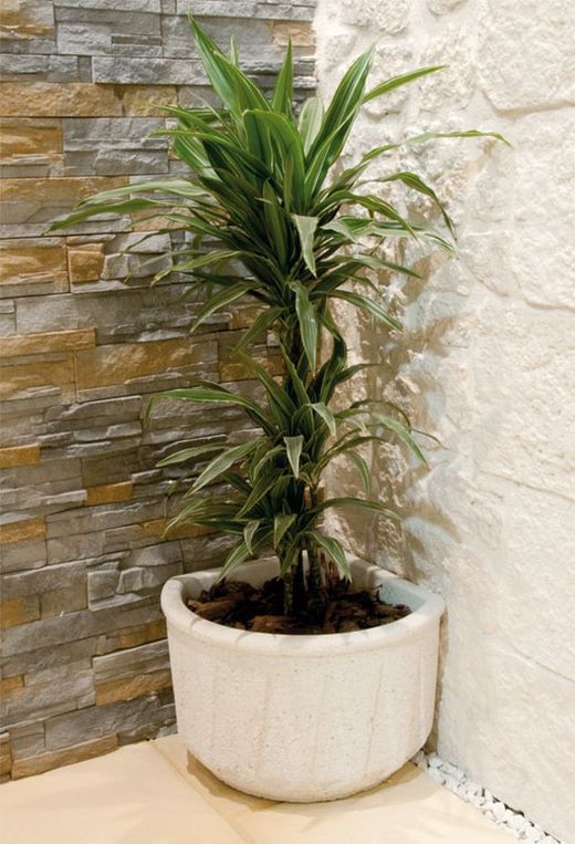 Kenya Verniprens garden pot