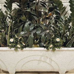 Trädgårdskruka Oslo Verniprens