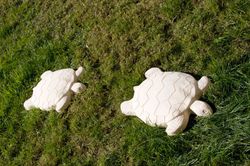 Marca huella tortuga Verniprens