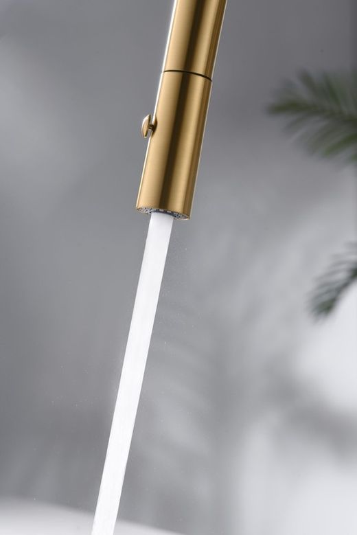 Bateria zlewozmywakowa Bonn szczotkowane złoto z wyciąganą wylewką Nr ref. GCE024/OC Imex