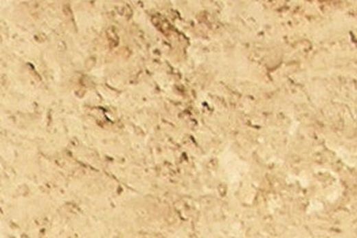 Pack Revestimiento Mares Tosca 0,34m2/pack 3 unidades Verniprens