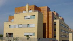 Pallet Maó caravista clinker Porto 236x114x50mm 608 u.