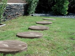 Paso Japones Haro Verniprens