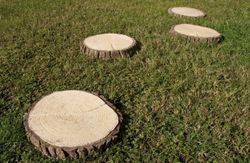 Paso Japonés Medallón Verniprens